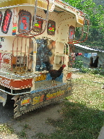 ein typischer Jeepney